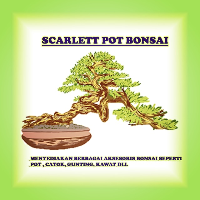 scarlettpotbonsai
