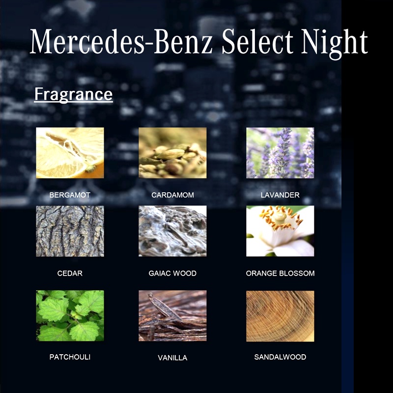 Parfum Original Mercedes Benz Select Night 100ml Edp - 100 mL