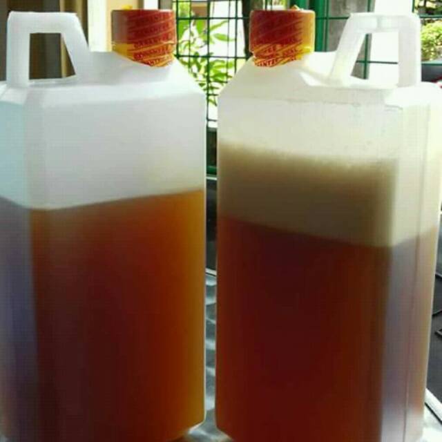 

Madu hutan sialang Riau