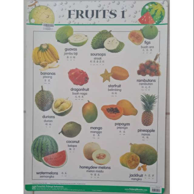 Poster Nama Nama Buah Shopee Indonesia