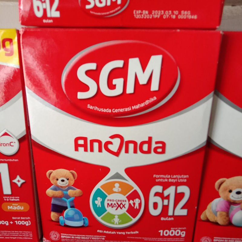 

Sgm Ananda 6-12bulan 1kg