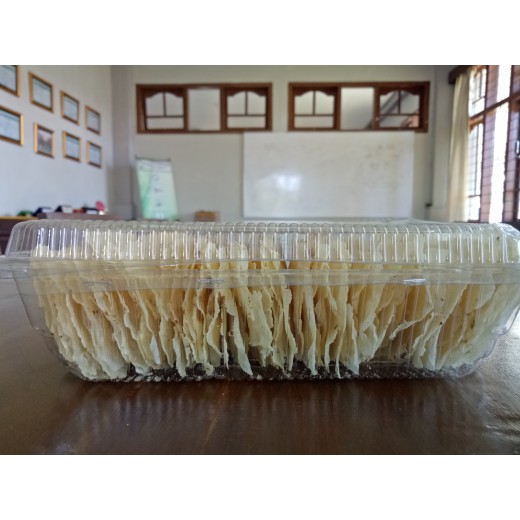 

Emping Melinjo Bengkulu