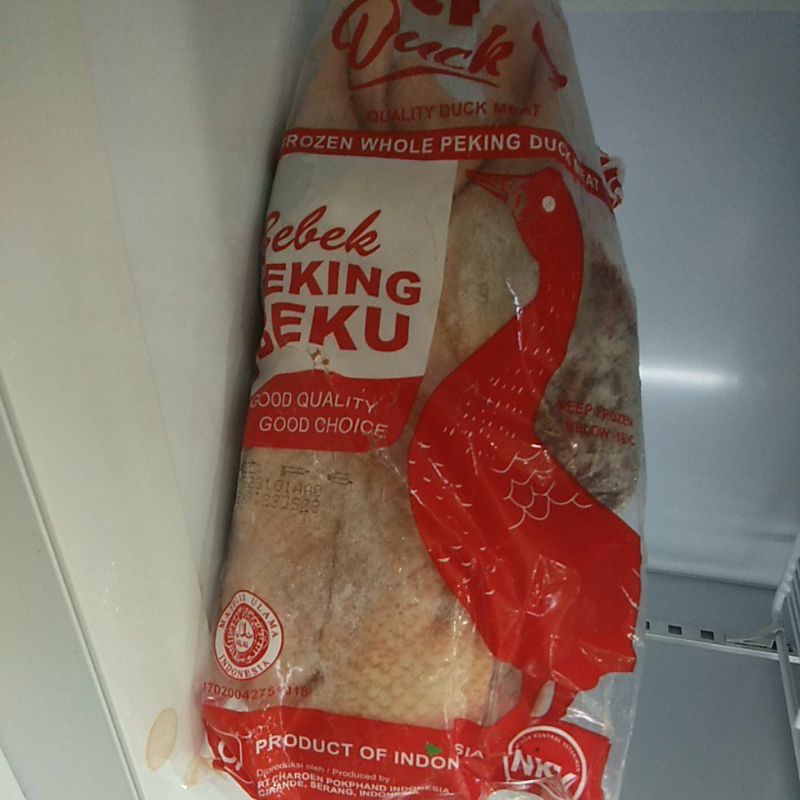 

Bebek pecking muda