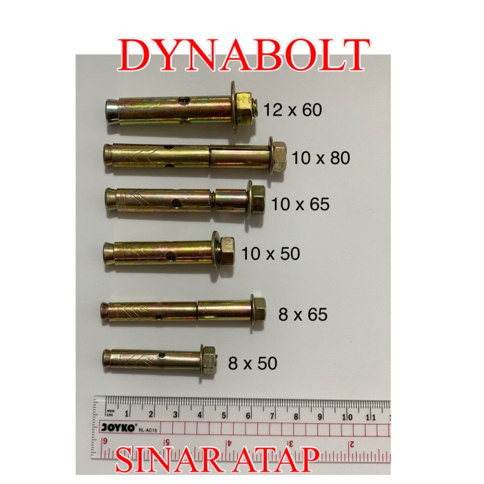 Dynabolt 10 x 65