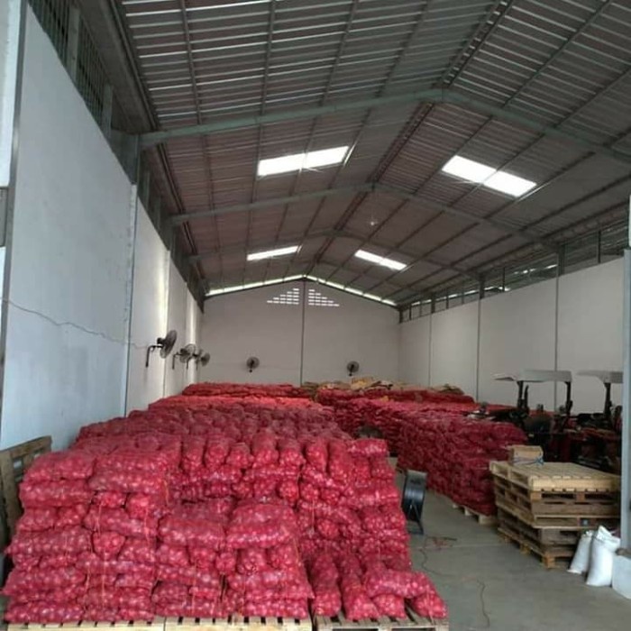 

uuttudd Bawang Merah India Fresh 1Kg Fsfs201