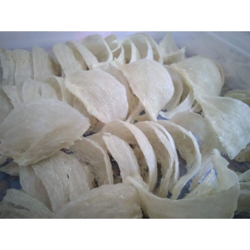 

Sarang Burung walet Mangkok Natural