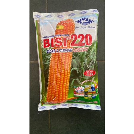 Benih jagung hibrida BISI 220 isi 1kg dari CAP KAPAL TERBANG