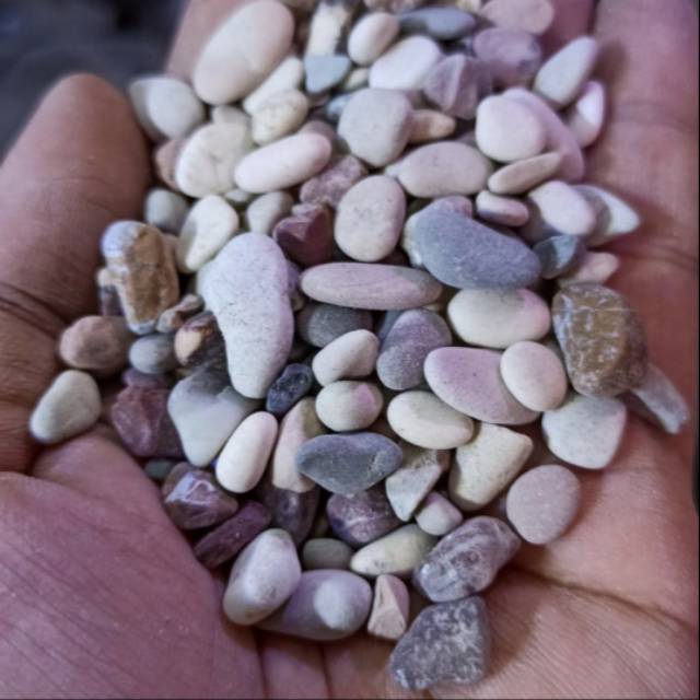 Batu Kerikil Sungai Hiasan Aquarium 1kg Batu Pancawarna Batu Hias
