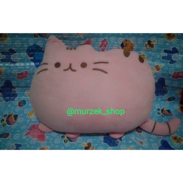 Bantal kucing gembul