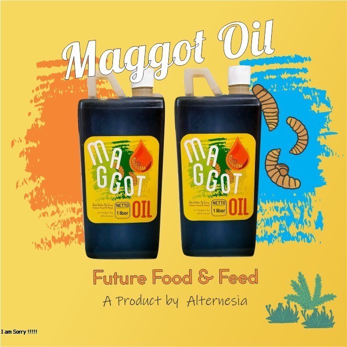 Minyak Maggot Oil Arwana, Channa, Koi, Murai, Louhan, Reptil, Ternak
