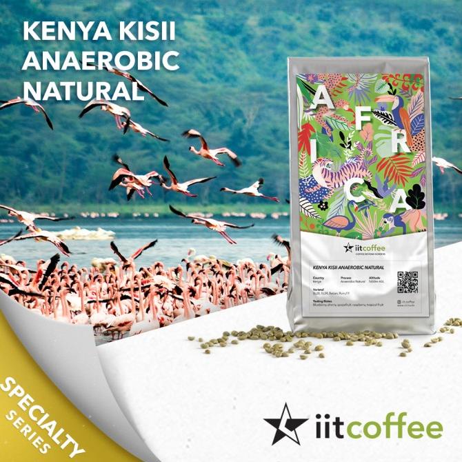 

Arabica Green Beans - Kenya Kisii Anaerobic Natural - 1Kg