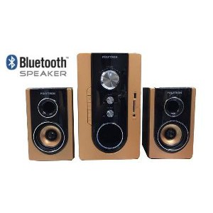 Jual  Speaker Aktif Polytron PMA9300   PMA 9300 Bluetooth Remot USB   Gold