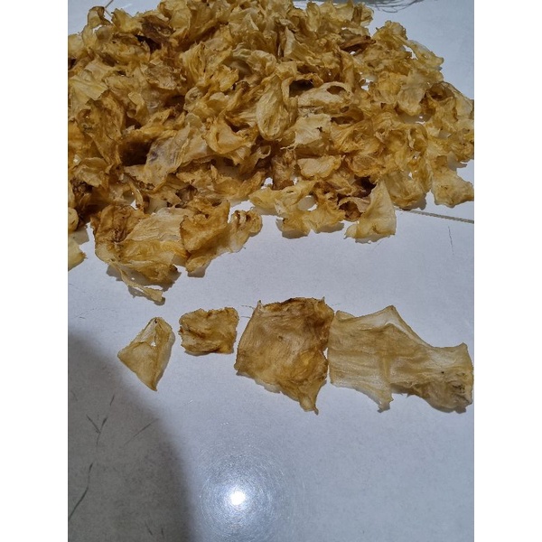 

ikan buntal (hipio)