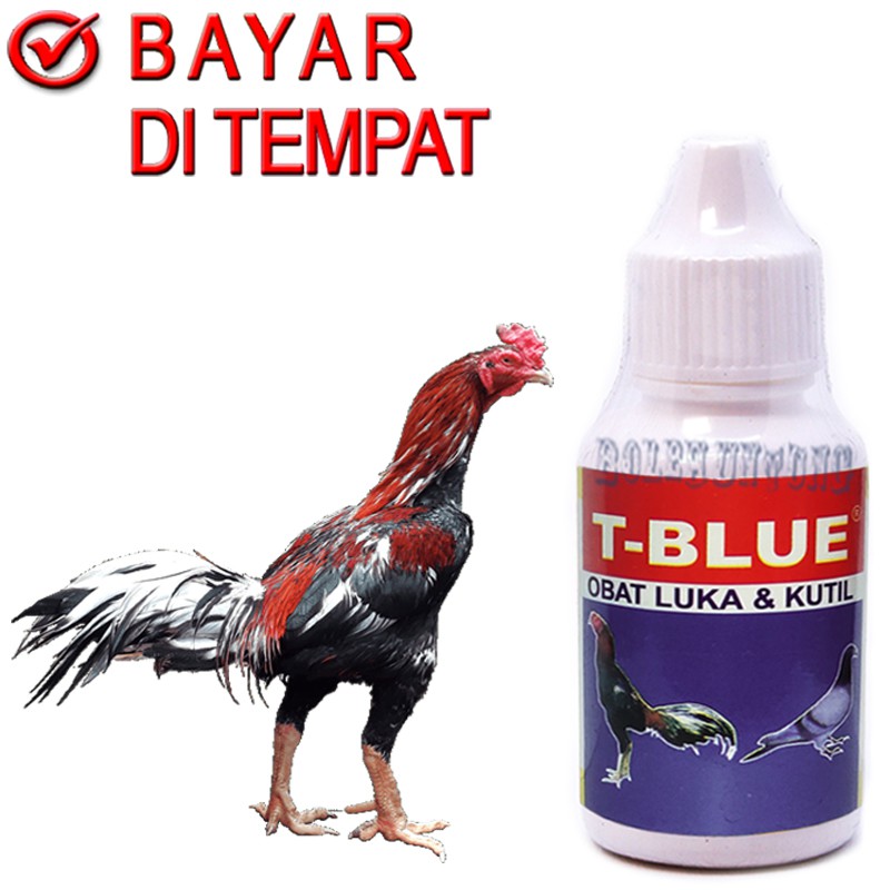 T BLUE OBAT AYAM JAGO BANGKOK SAKIT LUKA TERKELUPAS KUTIL KORENG BUDUK