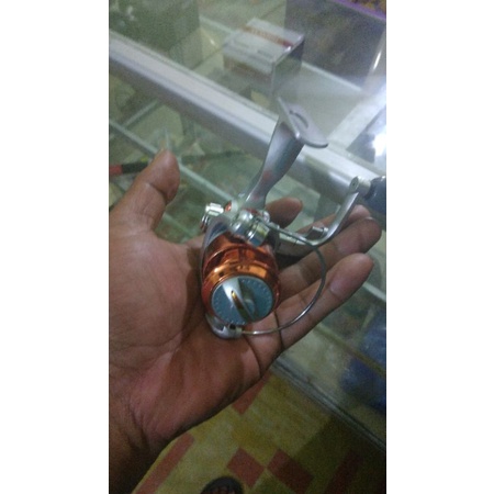 reel mini 500.golden fish cat fish