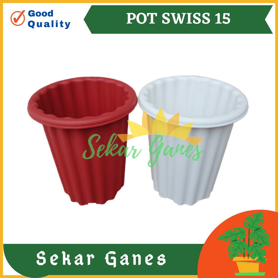 Pot Swiss 15 Putih Bening Transparan Hitam Merah Bata Merah Coklat Terracota Terracotta Mirip Pot Yogap Ypt 10 13 15 Putih Coklat Merah Bata Bening Transparan Pot Yogap 17 18 19 Pot Yogap Murah Pot Bunga Tinggi Pirus Tegak Bagus Tebal