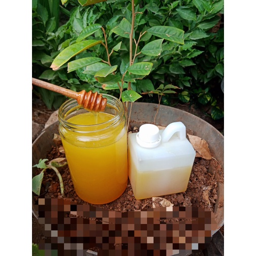 

201nhgg Madu Kaliandra (Asli) Ds201Fs