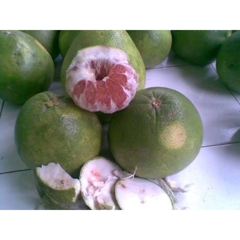 

Buah Jeruk Pamelo Fresh