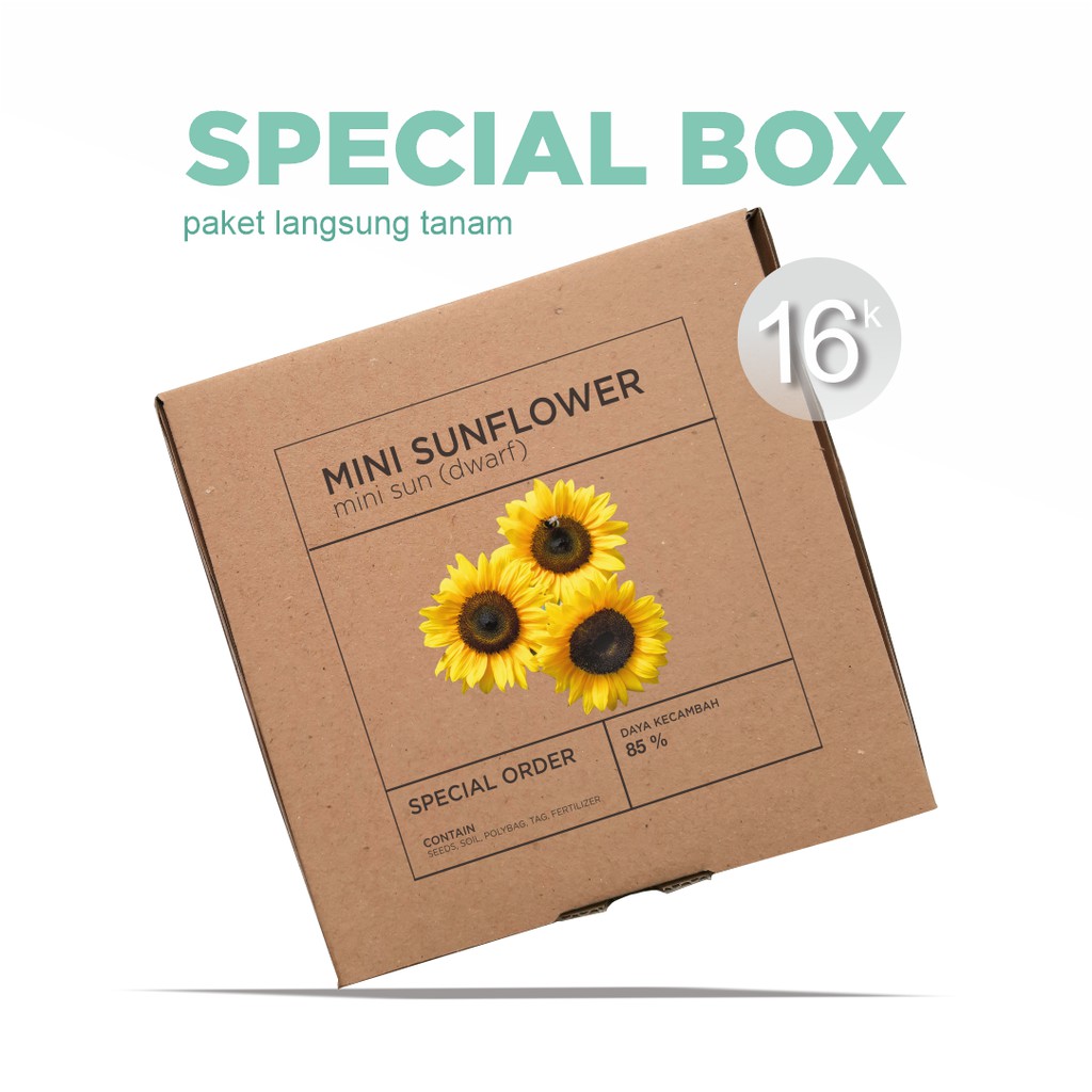 Paket Langsung Tanam - Gardening Kit - SPECIAL BOX - Benih Sunflower Dwarf Mini Sun Bunga Matahari Mini Kerdil Seeds