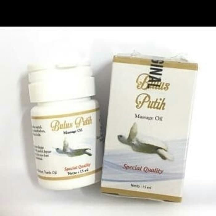 BPOM BULUS PUTIH MASSAGE OIL / MINYAK BULUS ORIGINAL New