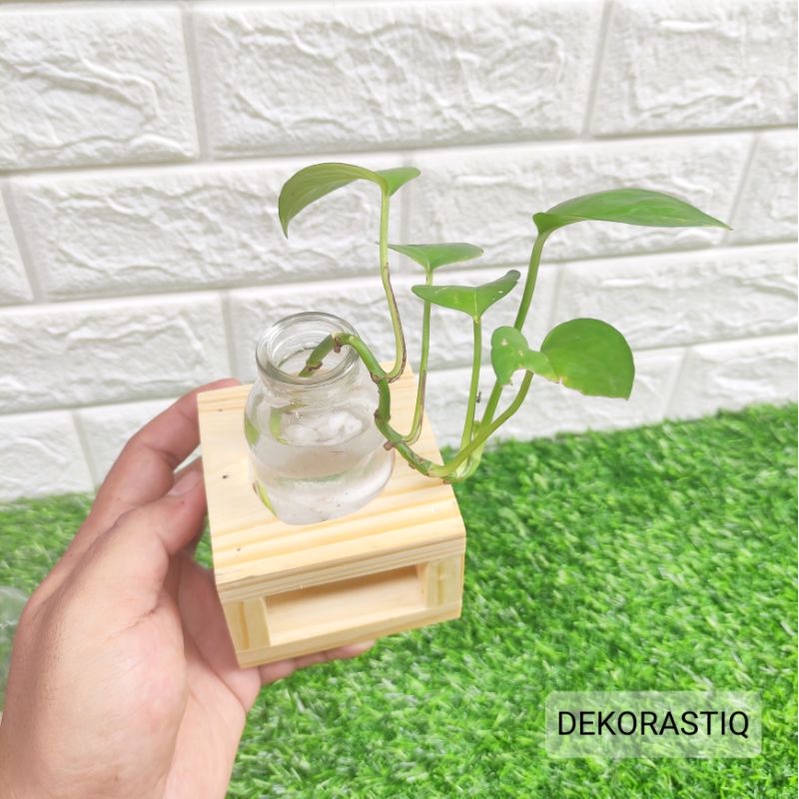 (1 PAKET) VAS BUNGA AESTHETIC / VAS BOTOL 100ML BENING COVER KAYU 1 LUBANG / POT TANAMAN AIR / VAS KACA KOREA AESTHETIC / PLANTER KAYU