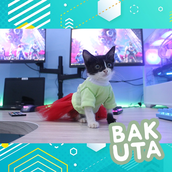 Dress tutu kelinci hijau terbaru baju kucing dan anjing / baju kucing murah size S-XL