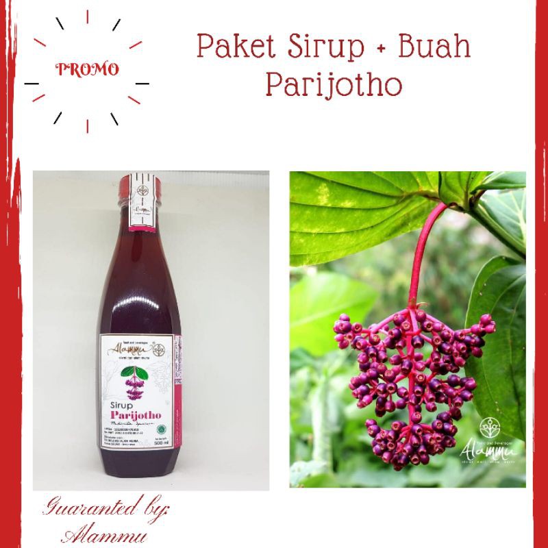 

Paket promil sirup parijoto 500ml dan buah 100gr