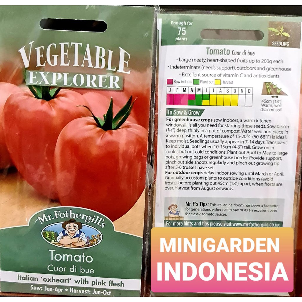 BENIH TOMAT CUOR DI BUE PACK 100 BIJI bibit sayur buah tomat merah import F1 Mr. Fothergills