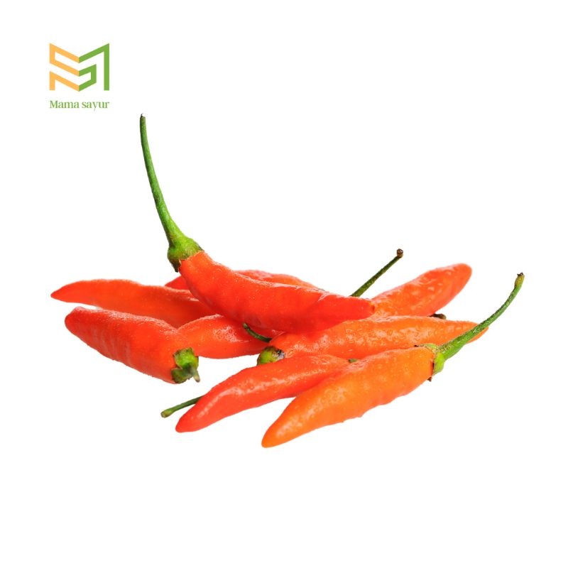 

Cabai rawit merah segar per pack