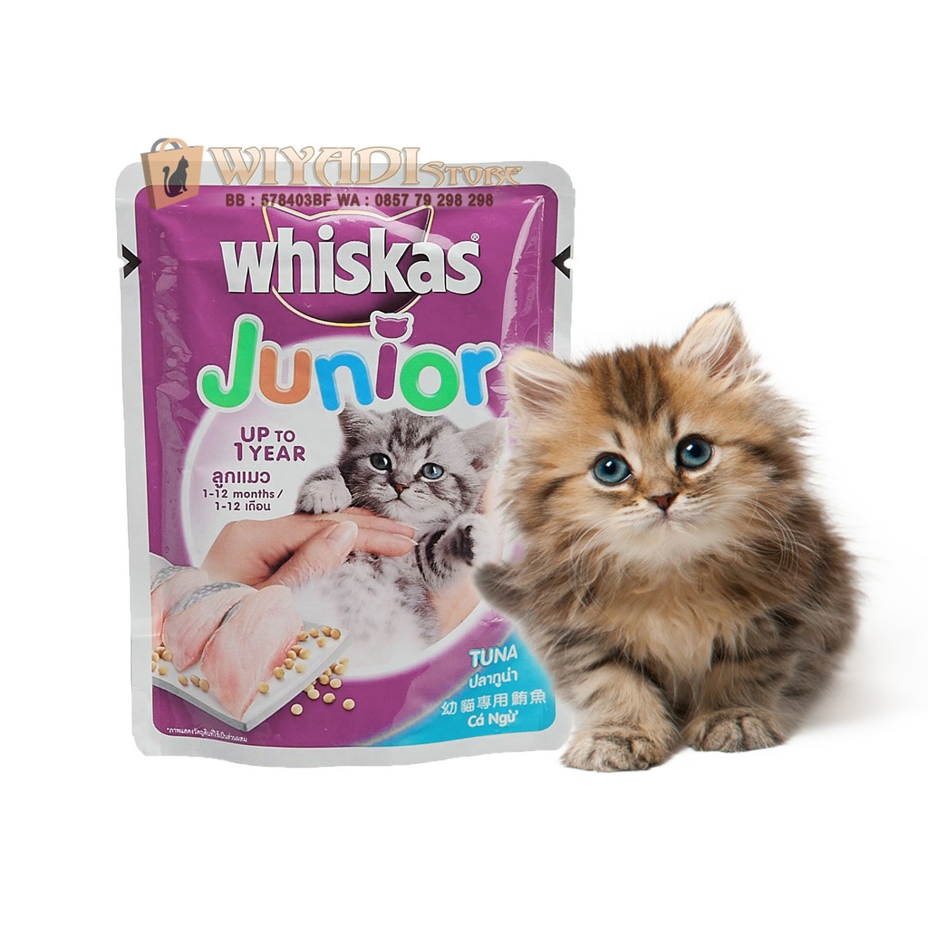 Makanan Basah Anak Kucing / Wet Food Kitten Whiskas Junior