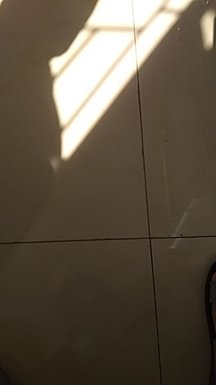 Speedy Cooper Mini , Blander Bumbu Manual