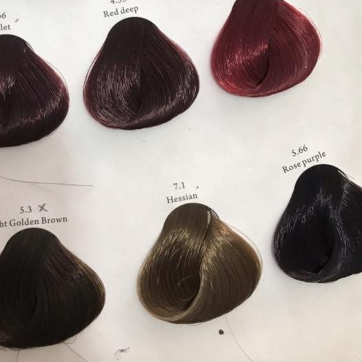 ➧ Feves Hair Color 60 ml + Developer 60 ml ◘