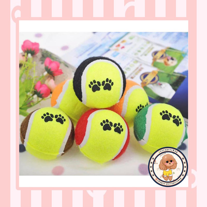 Bola Tenis Mainan Anjing dan Kucing