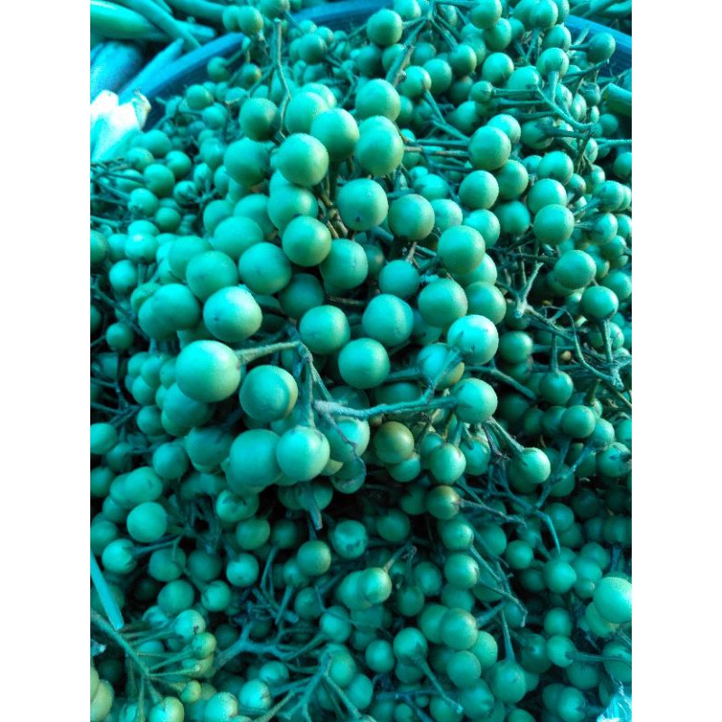 

sayur segar cempokak 100 gr