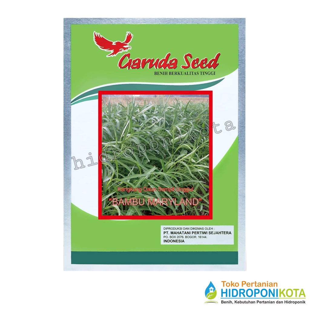 GS - benih KANGKUNG BAMBU MARYLAND isi 50 gram - bibit kangkung daun sempit - garuda seed