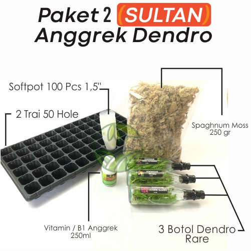 Paket 2 Dendro Sultan | 3 Botol bibit anggrek dendro primary Hybird | Botolan Dendro Primary Hybird