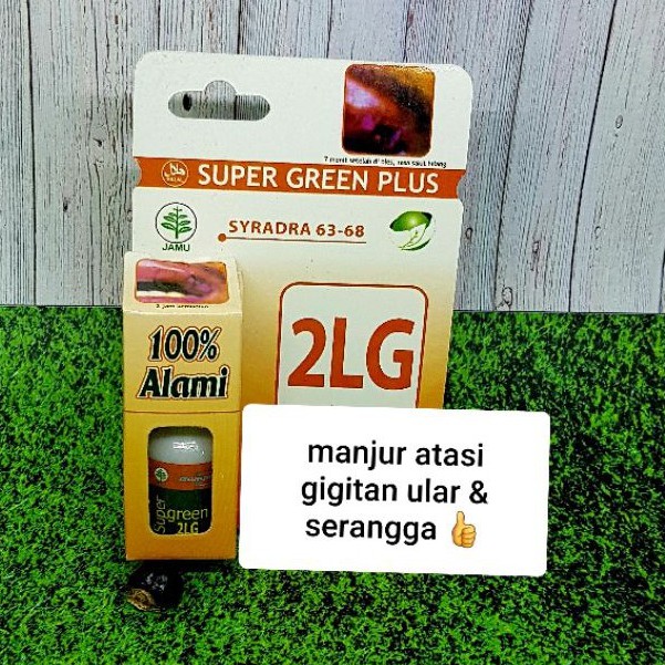 Jual Sgp 2 Lg Netto 10 Ml Mengobati Luka Bakar Luka Berdarah Digigit Ular  Serangga Bekas Luka Serta Luka Indonesia|Shopee Indonesia