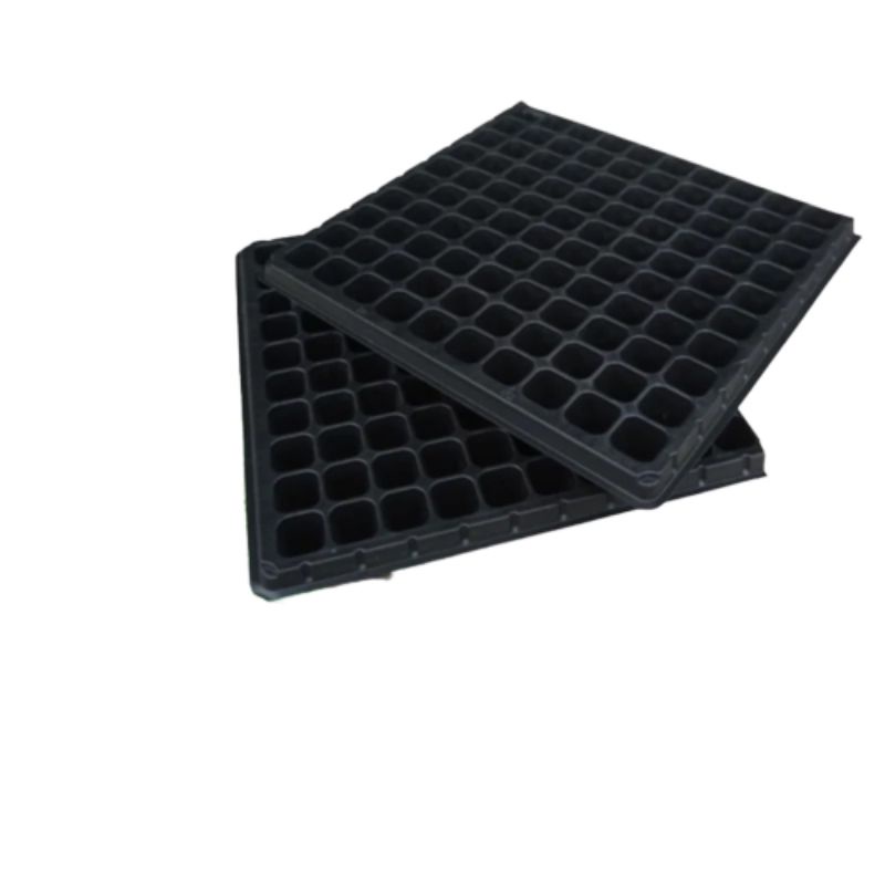 Tray semai 100 lubang