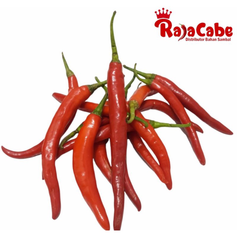

Cabai Merah