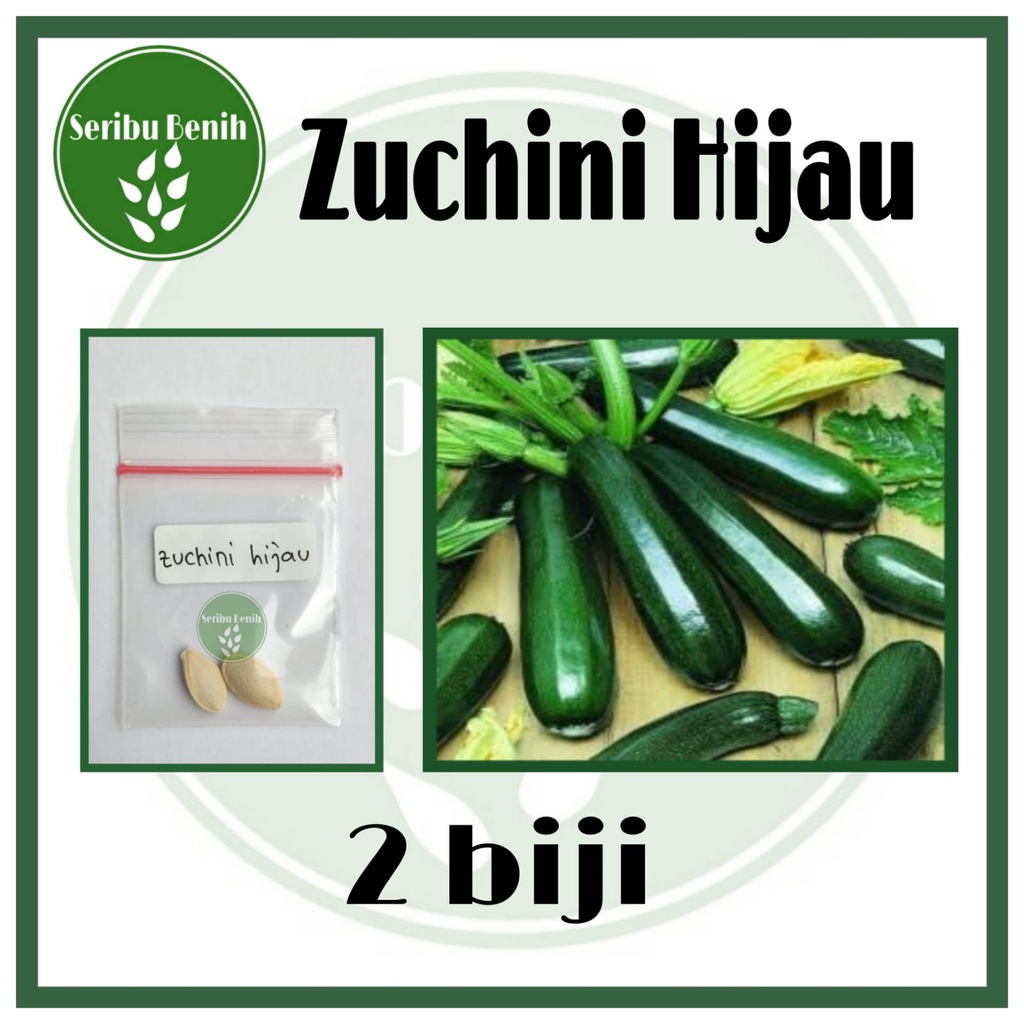 2 Benih Zuchini Hijau Jewel Timun Jepang Known You Seed - Bibit Tanaman Sayur Repack [ SERIBU ]