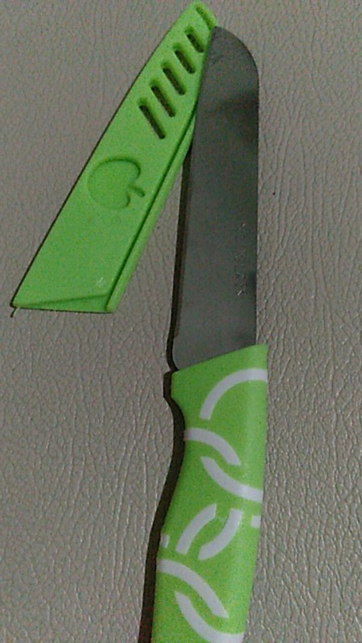 [38gr] Ppl Pisau Apel / Pisau Dapur Stainless / Pisau Buah / Pisau Apple