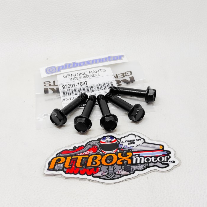 baut breket dudukan kaliper depan ninja r rr ori