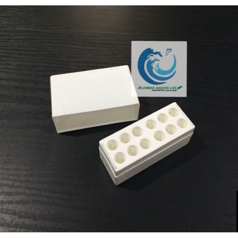 Kotak Kosong Vial / Ampul (Non Baru) 12 Lubang