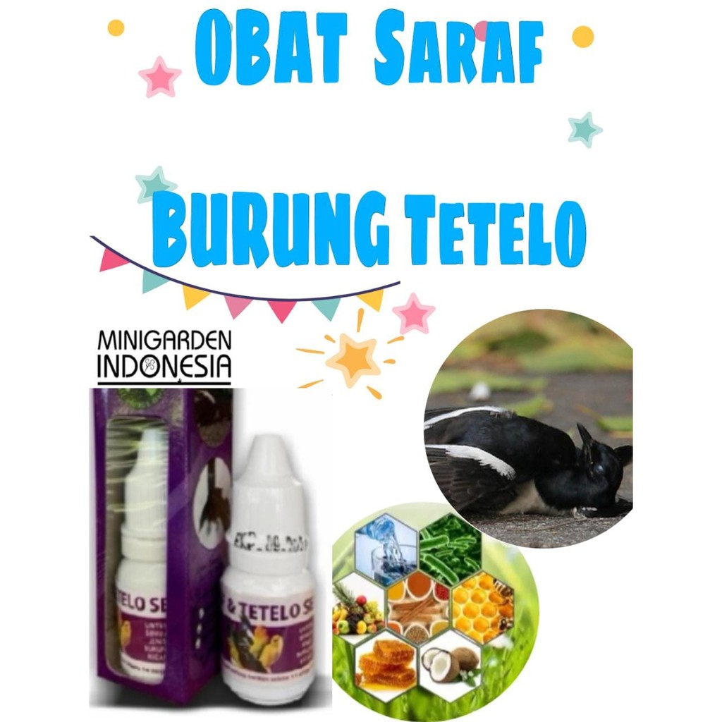 OBAT SARAF BURUNG TETELO obat burung ayan gangguan saraf lumpuh pelancar darah vitamin anti stress