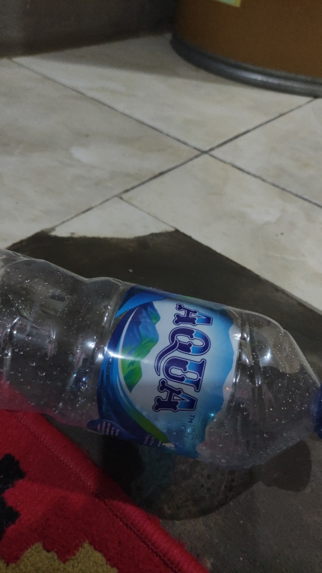 Ryu Spray Gun Elektrik Ryu Rse 800