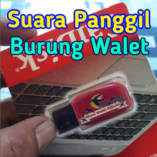 Suara Panggil Burung Walet Petani Walet Official khusus Suara Panggil Walet