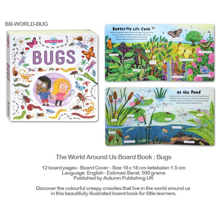 The World Around Us : Bugs