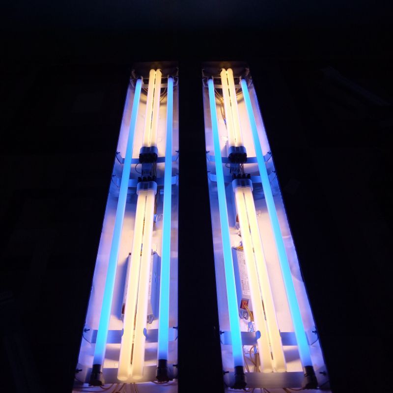 lampun tanning ikan arowana 100 _120 cm kombinasi aquazonic pll