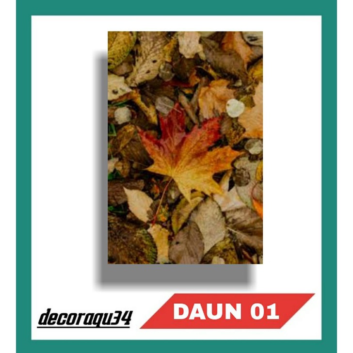Hiasan dinding daun kering | wall decor daun kering ukuran 30x20