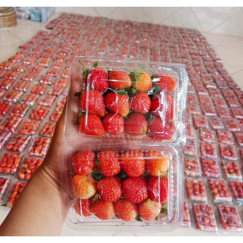 

STRAWBERRY DAPAT 3 PACK